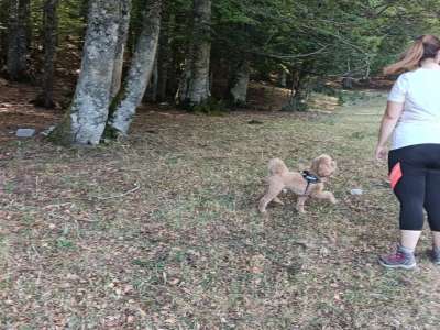 Escursione sul Pollino