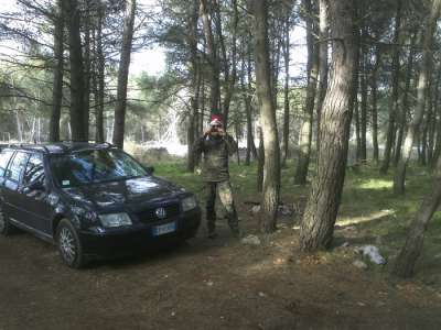 Buone feste 2011