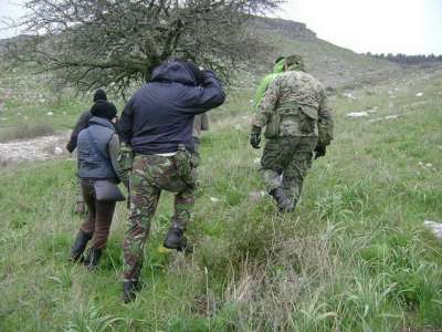 Orienteering