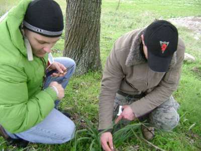 Orienteering