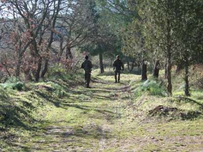 Domenica 14-01-07
